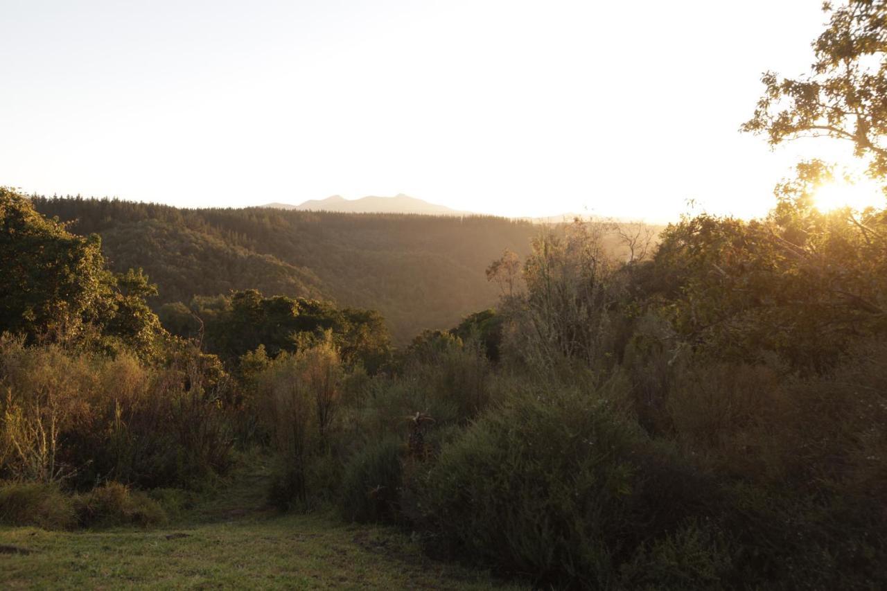 Forest Hills Knysna Exterior photo