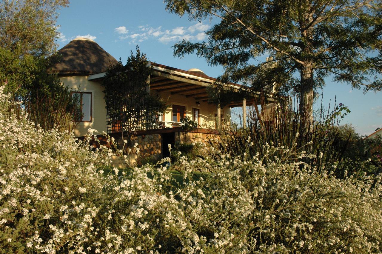 Forest Hills Knysna Exterior photo