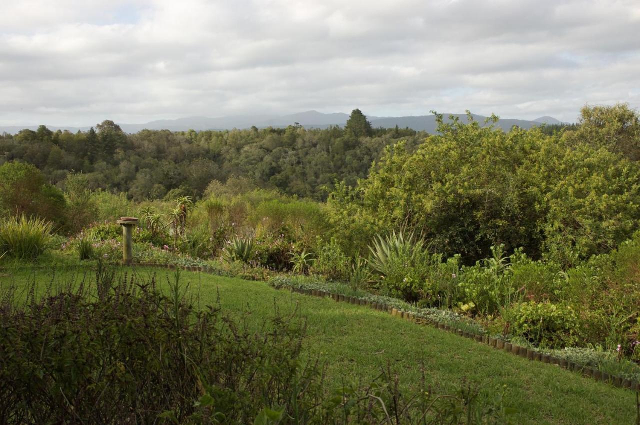 Forest Hills Knysna Exterior photo